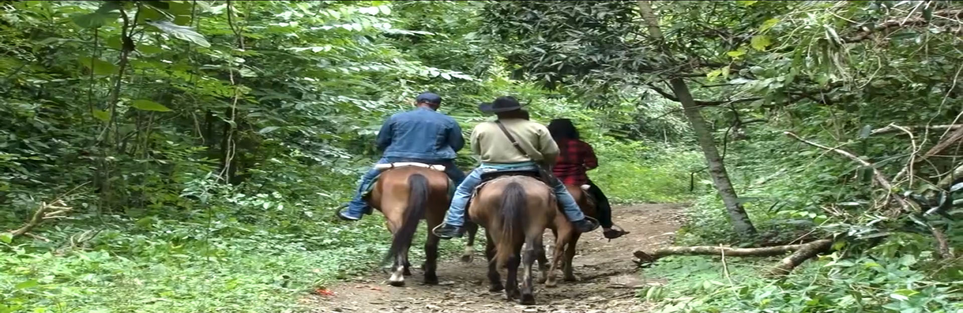 Sendero a caballo en Soroa, Cuba Travel